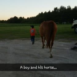 Minnesota Horse Boarding
