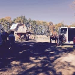 Minnesota Horse Boarding